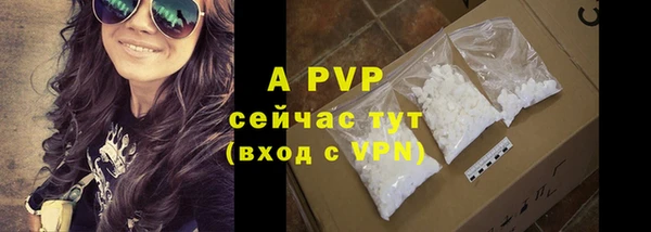трава Магас