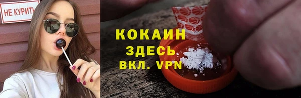 хмурый Мегион