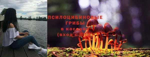твердый Майский